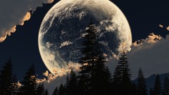 Nature Trees moon skyscapes