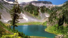 Nature Trees Mountains