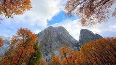 Nature Trees Mountains autumn