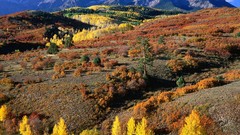 Nature Trees Mountains autumn