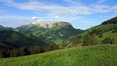 Nature Trees Mountains clouds