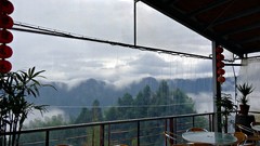 Nature Trees Mountains clouds restaurant