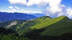 Nature Trees Mountains clouds skies