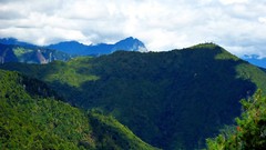 Nature Trees Mountains clouds skies