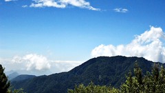 Nature Trees Mountains clouds skies