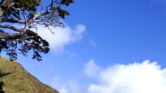 Nature Trees Mountains clouds skies blue skies