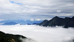 Nature Trees Mountains clouds Taiwan skies
