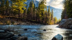 Nature Trees Mountains rivers