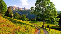 Nature Trees Mountains roads