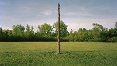 Nature Trees national geographic