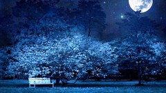 Nature Trees night blue moon bench Parks digital art
