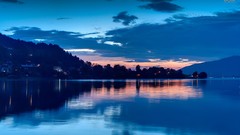 Nature Trees night water dawn coast