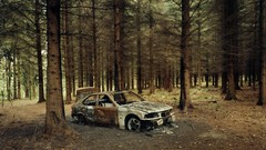 Nature Trees old cars BMW forests rusted Evergreen