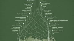 Nature Trees old infographics