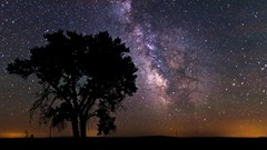 Nature Trees outer space