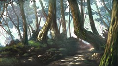 Nature Trees path forests scenic