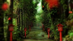 Nature Trees pathway paths bokeh ornaments artwork depth of 
