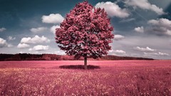 Nature Trees pink