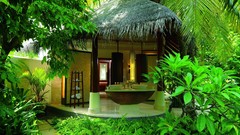 Nature Trees Plants houses