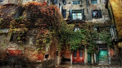 Nature Trees Plants houses low-angle shot