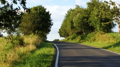 Nature Trees Poland roads bieszczady