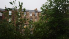 Nature Trees rain architecture buildings