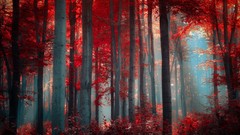Nature Trees red