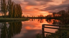 Nature Trees reflections rivers