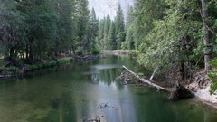 Nature Trees rivers forests