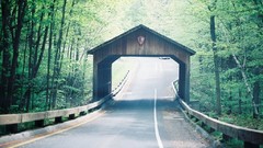 Nature Trees roads Bridges forests tunnels