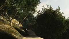 Nature Trees roads forests