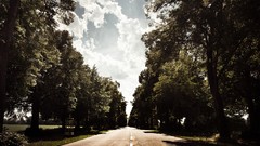 Nature Trees roads suburbs skyscapes