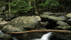 Nature Trees rocks outdoors