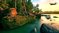 Nature Trees rocks rivers forests