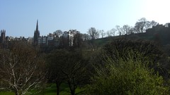 Nature Trees Scotland architecture Parks sunlight edinburgh HDR 