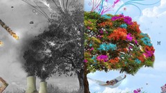 Nature Trees seasons digital art four seasons