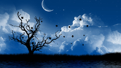 Nature Trees silhouettes skyscapes