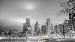 Nature Trees Skyscrapers City Lights architecture buildings 