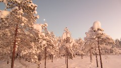 Nature Trees snow