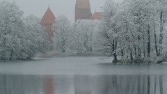 Nature Trees snow buildings
