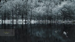 Nature Trees snow lakes rivers