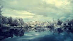 Nature Trees snow lakes skyscapes