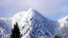 Nature Trees snow Mountains snow landscapes