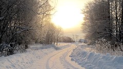 Nature Trees snow paths