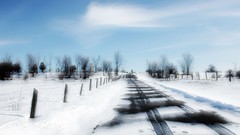 Nature Trees snow roads