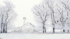 Nature Trees snow seasons