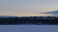 Nature Trees snow skyline forests wilderness
