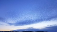 Nature Trees snow skyline forests wilderness