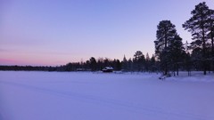 Nature Trees snow skyline forests wilderness