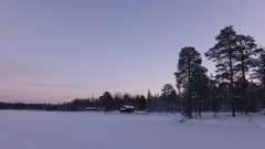 Nature Trees snow skyline forests wilderness